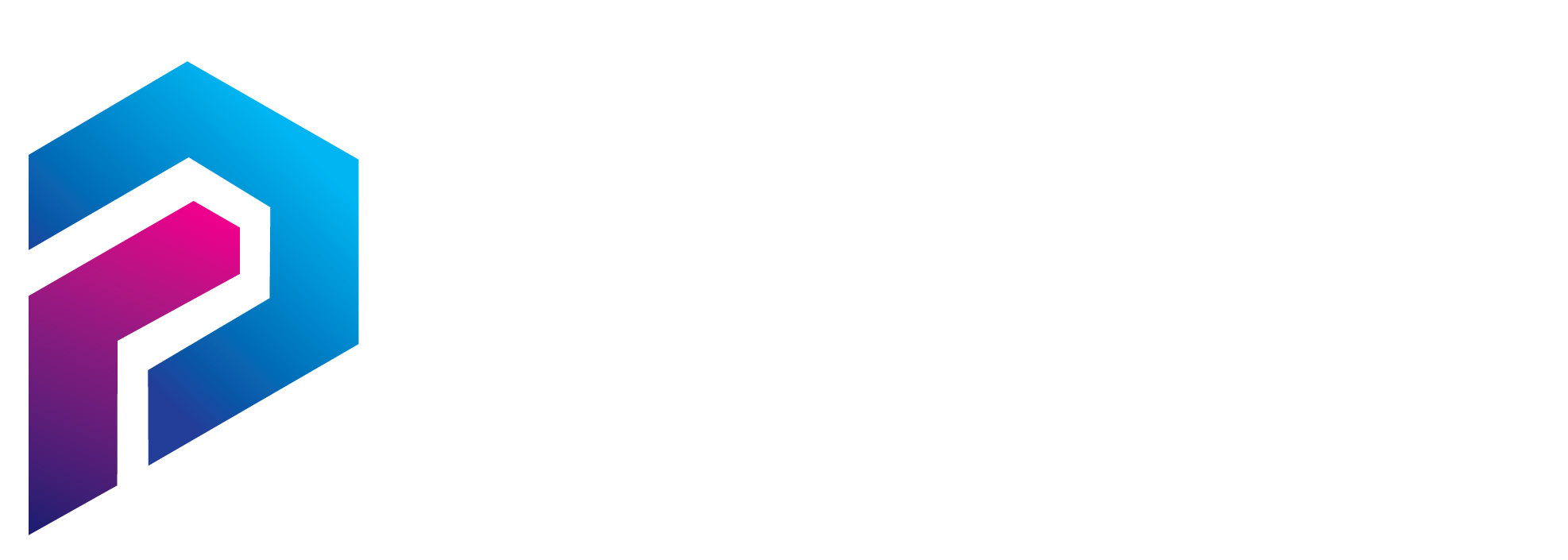 putx website logo